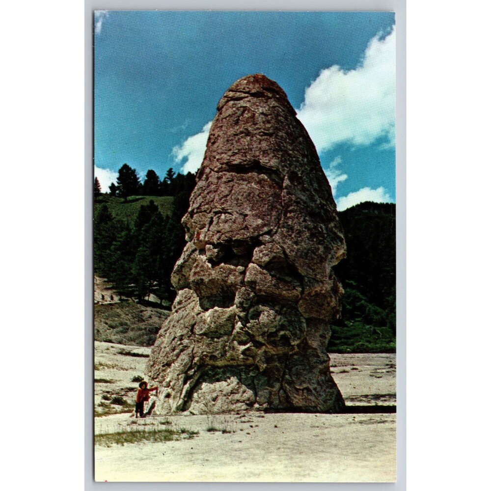 Postcard Wyoming Yellowstone National Park Liberty Cap Hot Springs Cone c1950s